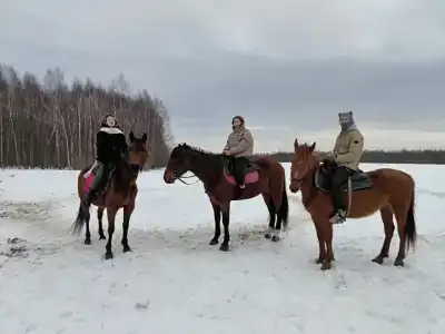 Бородино - 79