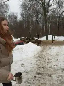 Бородино - 88