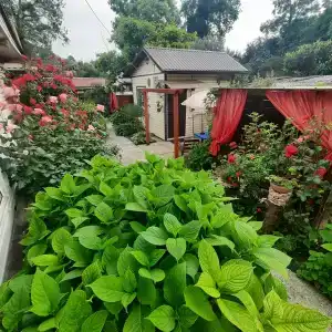 Усадьба Пантелея - 6