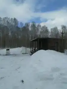 В гостях у леса - 9