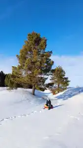 В деревушке на опушке - 23