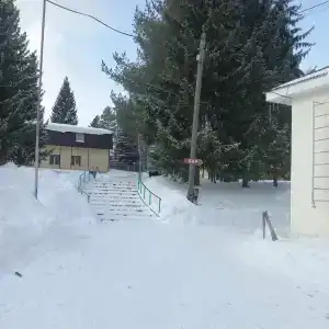 Сокол - 36