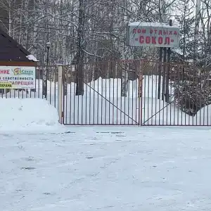 Сокол - 19