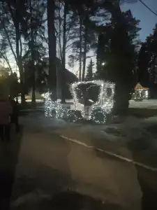 Красный Бор - 43