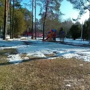 Синезерки - 15