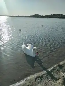 Мядель - 8