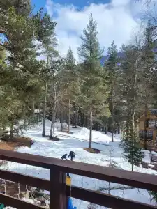 Chalet Family - 39
