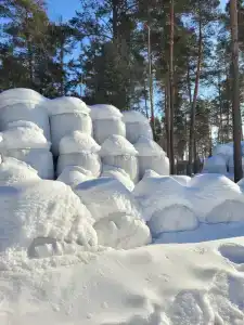 Никоново - 40