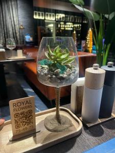 Меридиан - 96