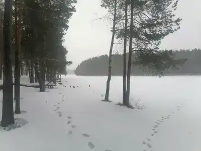 Беседки на Коркинском озере - 26