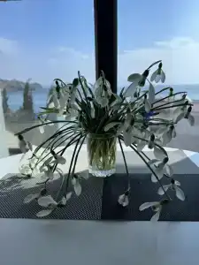 Paradise Crimea - 19