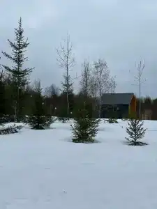 Глэмпинг Zefirka Camp - 55