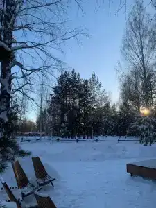 Ветер в соснах - 5