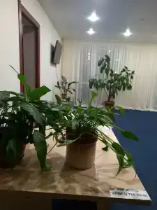 Маршал Петрозаводск - 24