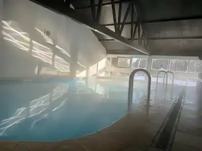 Чайка - 4