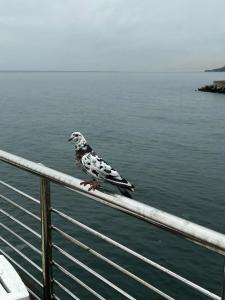 Беларусь - 77