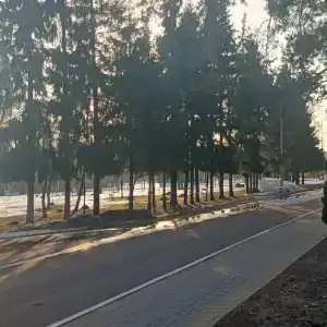 Пансионат с лечением Репное - 20