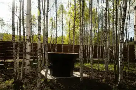 Барские поля - 41