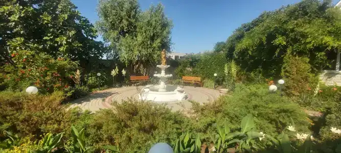 Альбатрос - 99