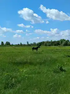 Горячие Ключи - 29