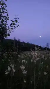 Барвиха - 60