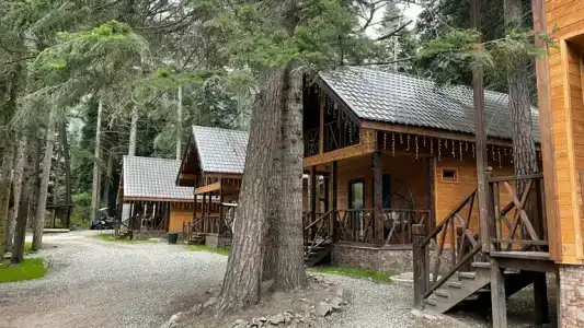 Alan Cottage - 0
