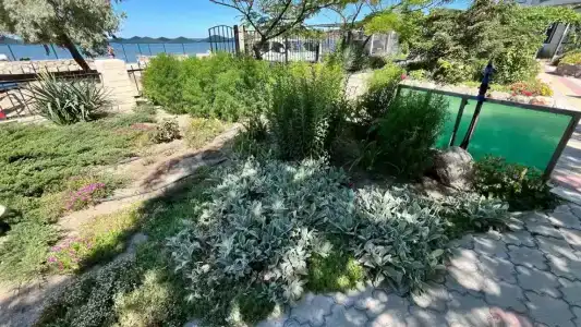 Пансионат Дельта - 69