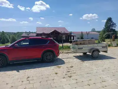 Сендега - 3