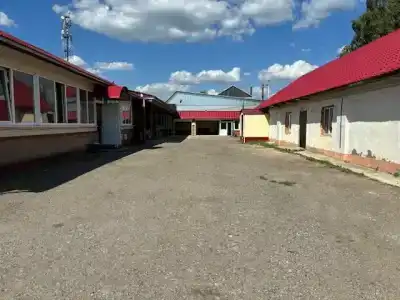 Лилия - 37