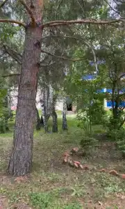 Лесное озеро - 48