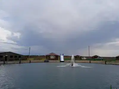 Сероводородный источник - 43