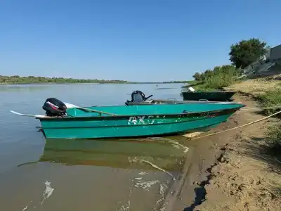 Бородей - 40