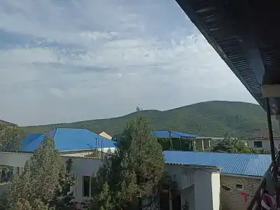 Белая Лебедь - 45