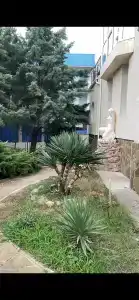 Дом друзей - 13