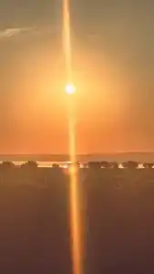 Фридом Веселовка - 67