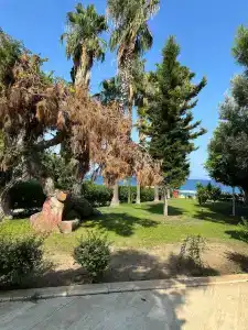 Sumela Garden - 13