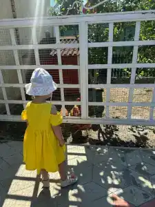 Морская дача Арабеска - 50