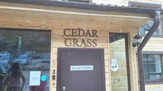 Cedar Grass Териберка - 61