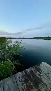 Виваль - 69