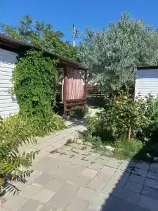 Тихая гавань - 9