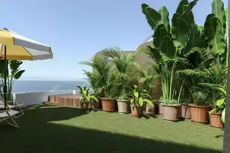 tent Capi Playa - 11