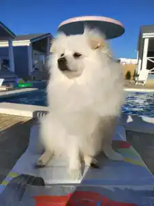 Вилла Blue Waves - 7