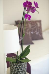 Guest House Amaranto Romano - 16