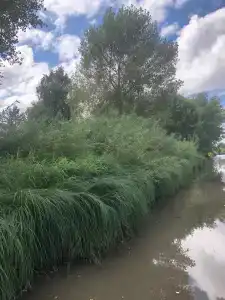 Чарыш - 7