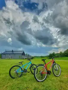 Новое Волосово - 59