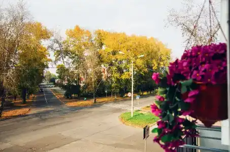 Бомонд - 3