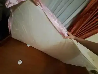Альянс - 15