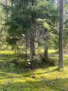 Друг - 7