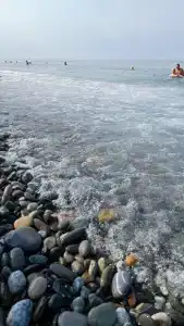 Усадьба Пантелея - 41