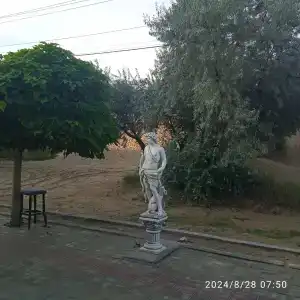 Ирис - 11